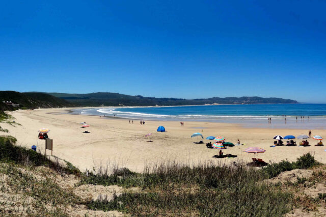 activities_buffalobay