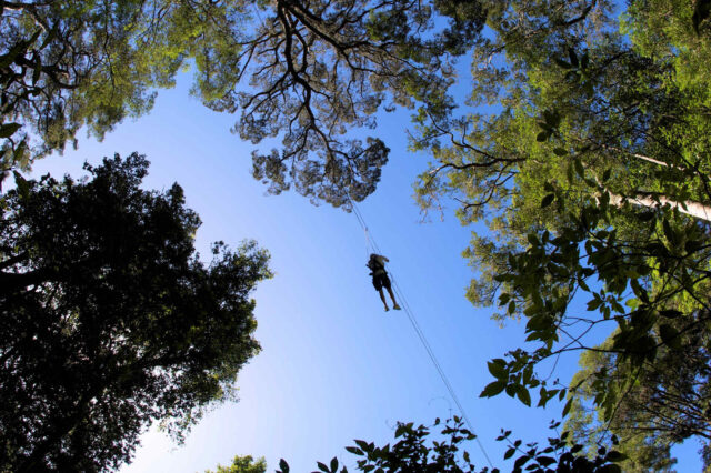 activities_canopytour