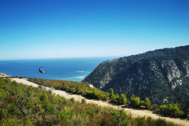 activities_zipline